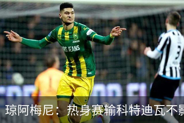 琼阿梅尼：热身赛输科特迪瓦不影响法国，可以说是一次小小的提醒